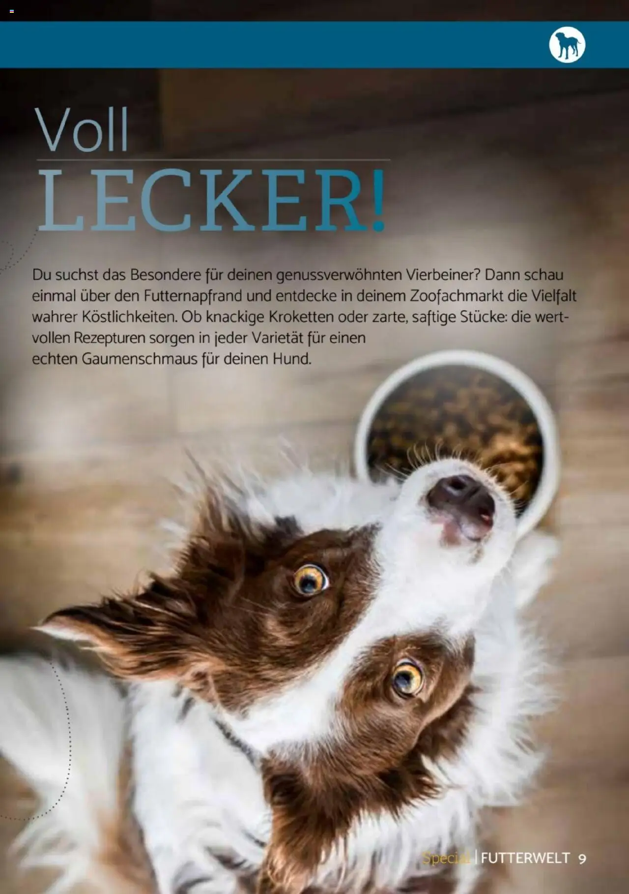 zookauf -Heimtier Journal Special - gültig ab dem 21.07.2025 | Seite: 9