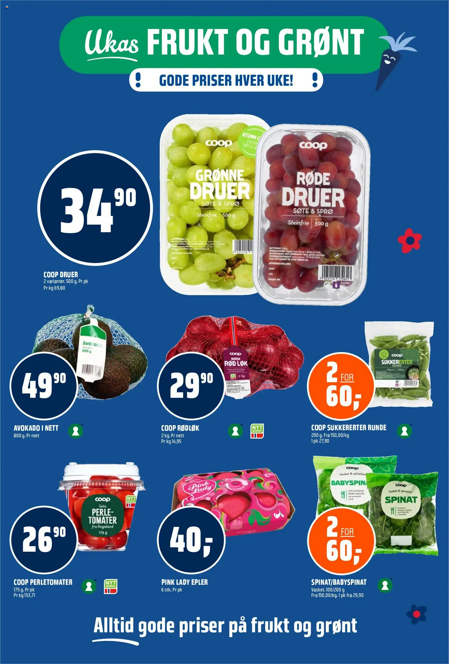 {H1} | Side: 6 | Produkter: Epler, Tomater, Druer, Rødløk