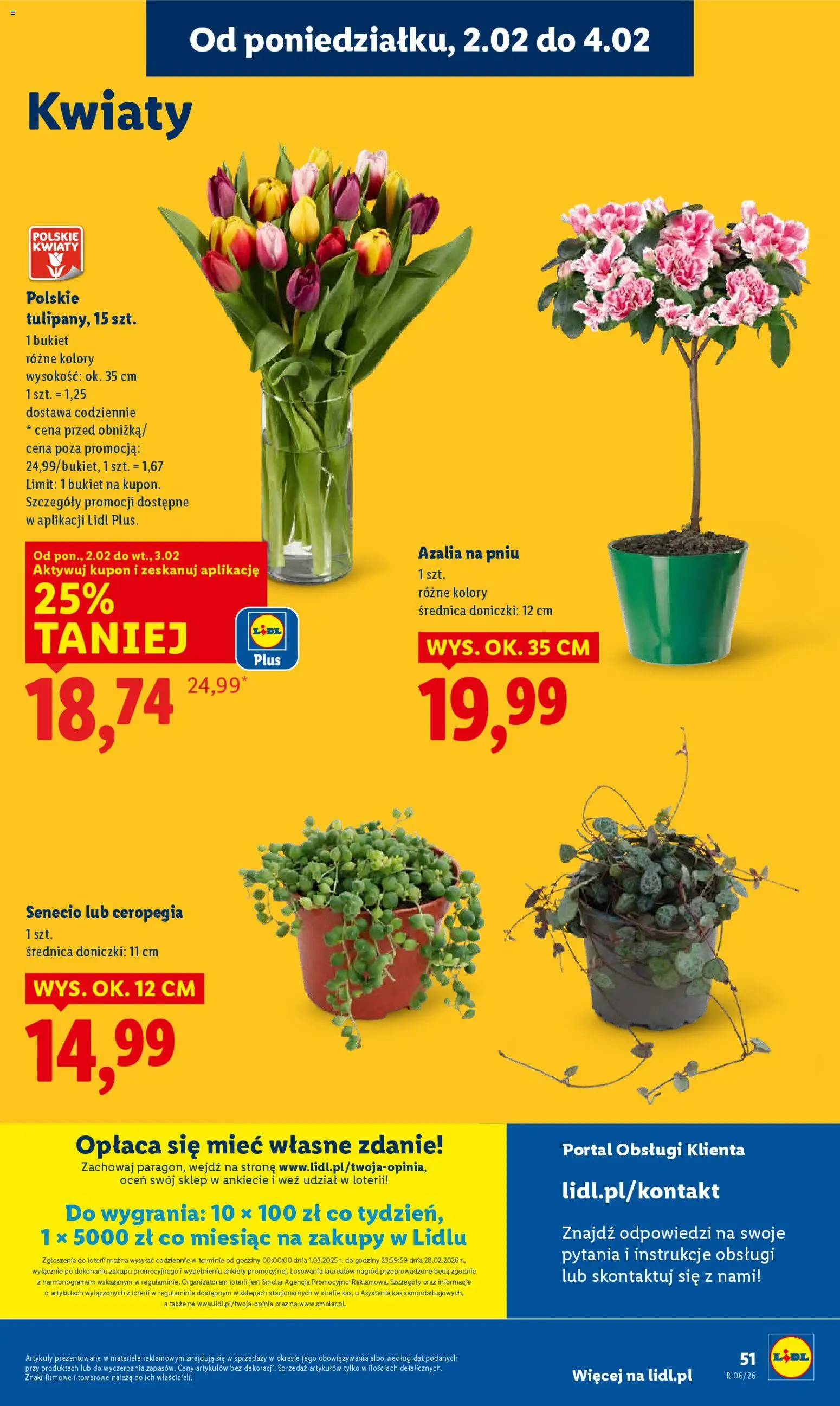 Lidl Gazetka od 02.02.2026 | Strona: 51 | Produkty: Azalia, Doniczki, Azalia na pniu, Kwiaty