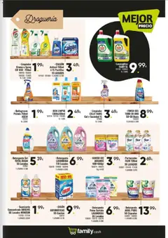 Vista previa Family Cash folleto válido desde el 09.02.2026 | Página: 13 | Productos: Polvo, Detergente, Crema, Lavavajillas