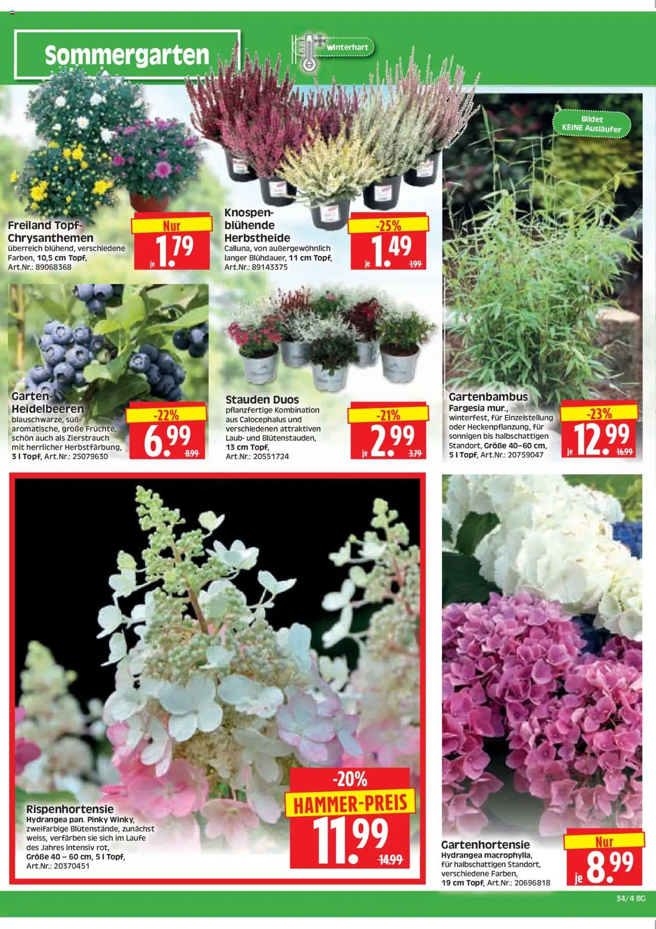HERKULES Bau & Garten	 - gültig ab dem 18.08.2025 | Seite: 4 | Produkte: Heidelbeeren