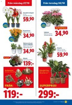 Lidl - erbjudanden - Förhandsvisning av reklamblad från butik Lidl aktuell från 27.10.2025 | Sida: 20 | Produkter: Korg