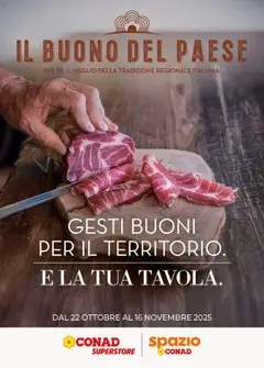 Anteprima del volantino Conad Il Buono del Paese Sicilia catalogo valido a partire dal 22.10.2025