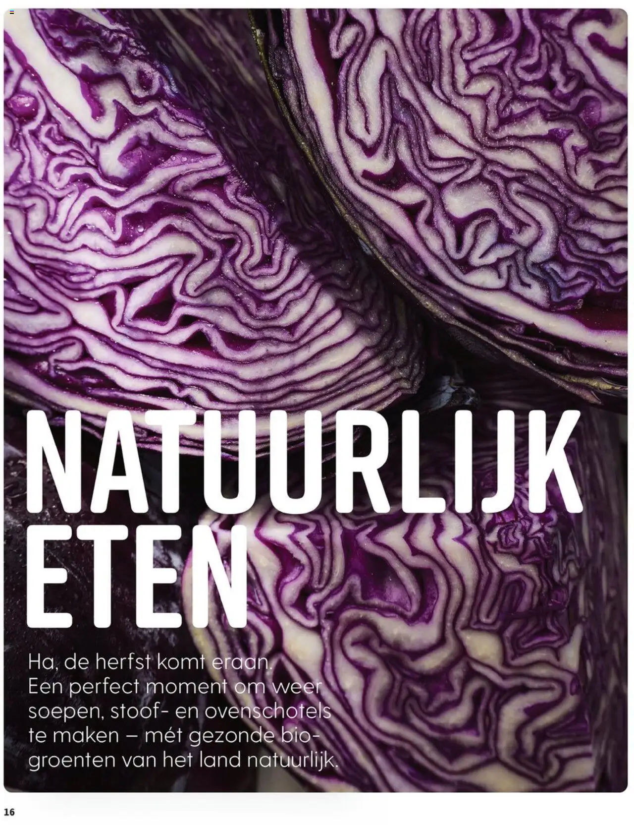 {H1} | Pagina: 16 | Producten: Groenten