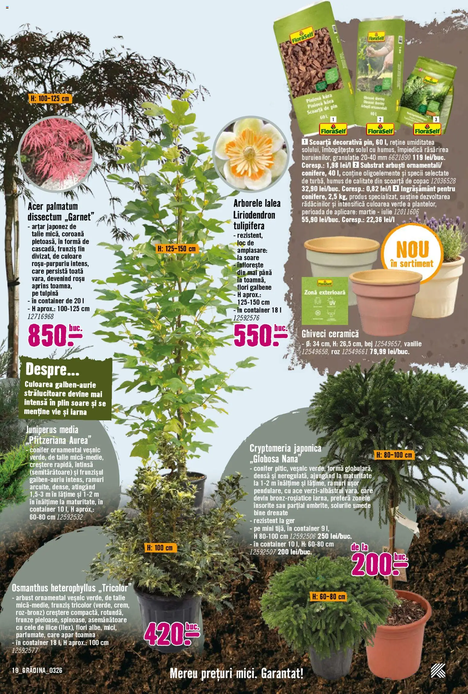 Noul catalog Hornbach – valabil de la 23.03.2026 | Pagină: 19 | Produse: Ghiveci, Humus