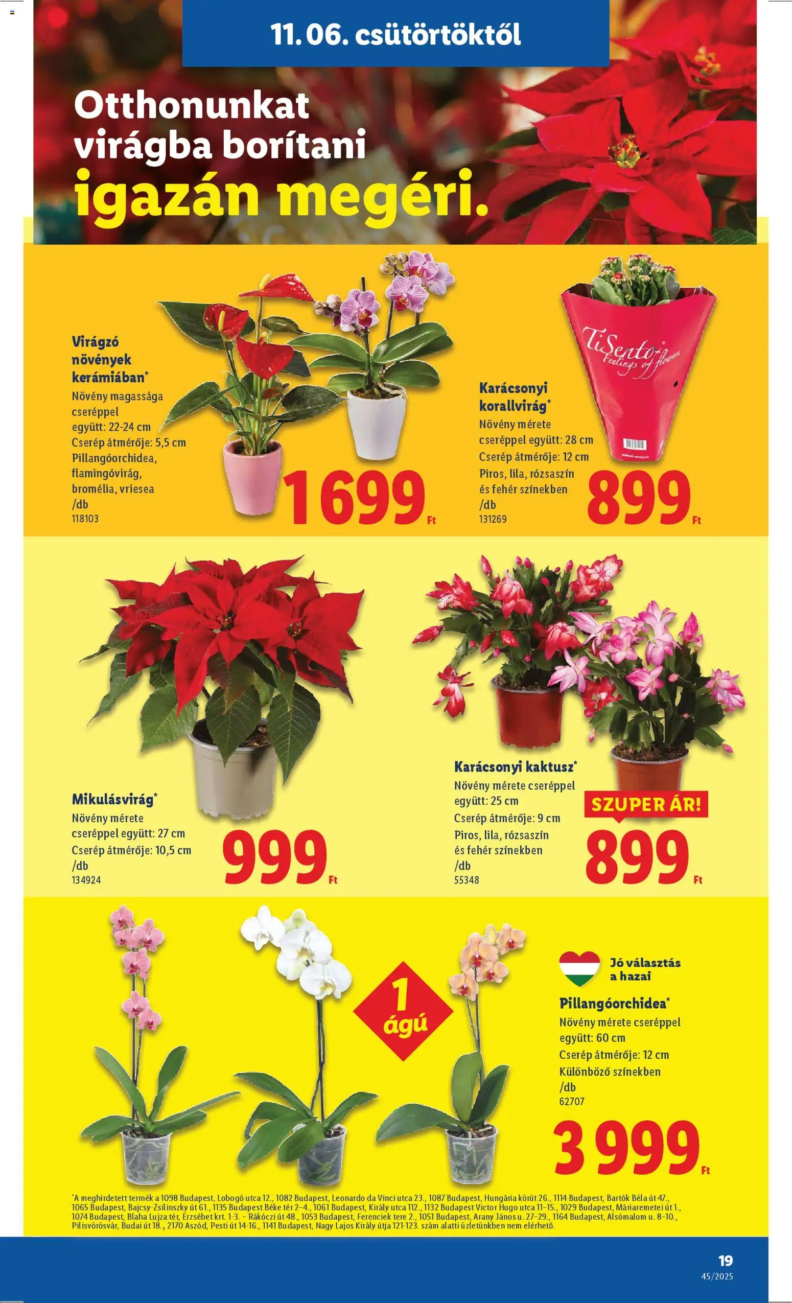 Lidl akciós ujság - amely érvényes a következő dátumtól: 06.11.2025 | Oldal: 19