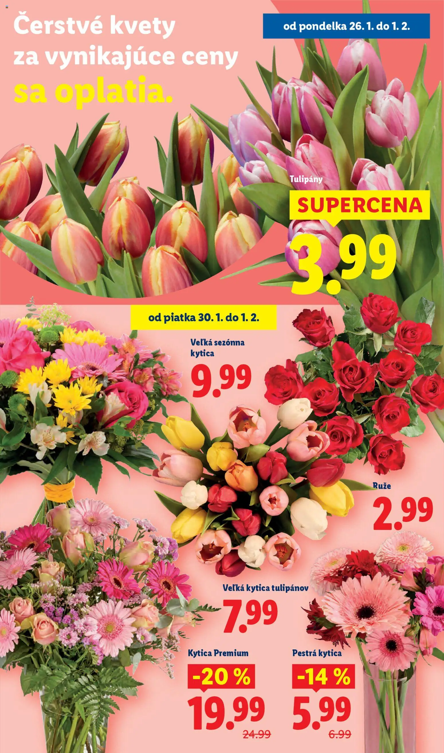 Nové Lidl akcie – leták je platný od 29.01.2026 | Strana: 76 | Produkty: Kvety, Tulipány, Ruže