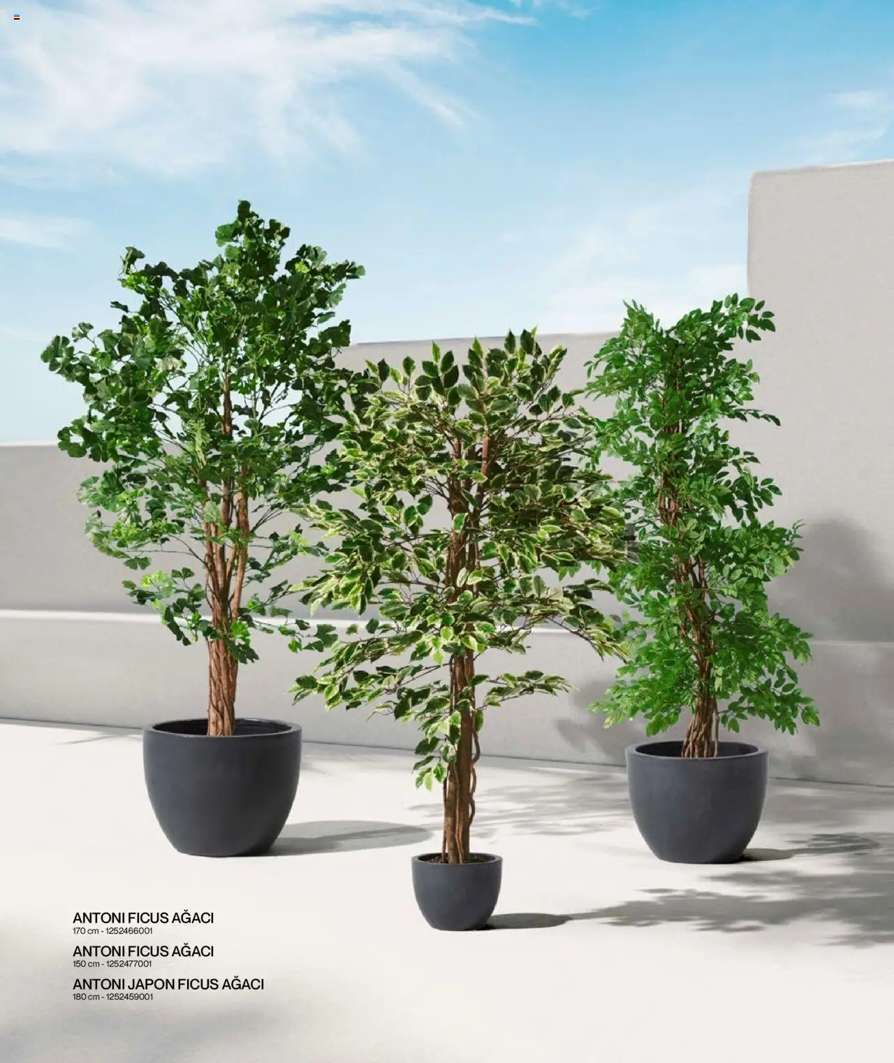 Mudo Katalog - BAHÇE 2025 - 04.06.2025 tarihinden itibaren geçerlidir | Sayfa: 164