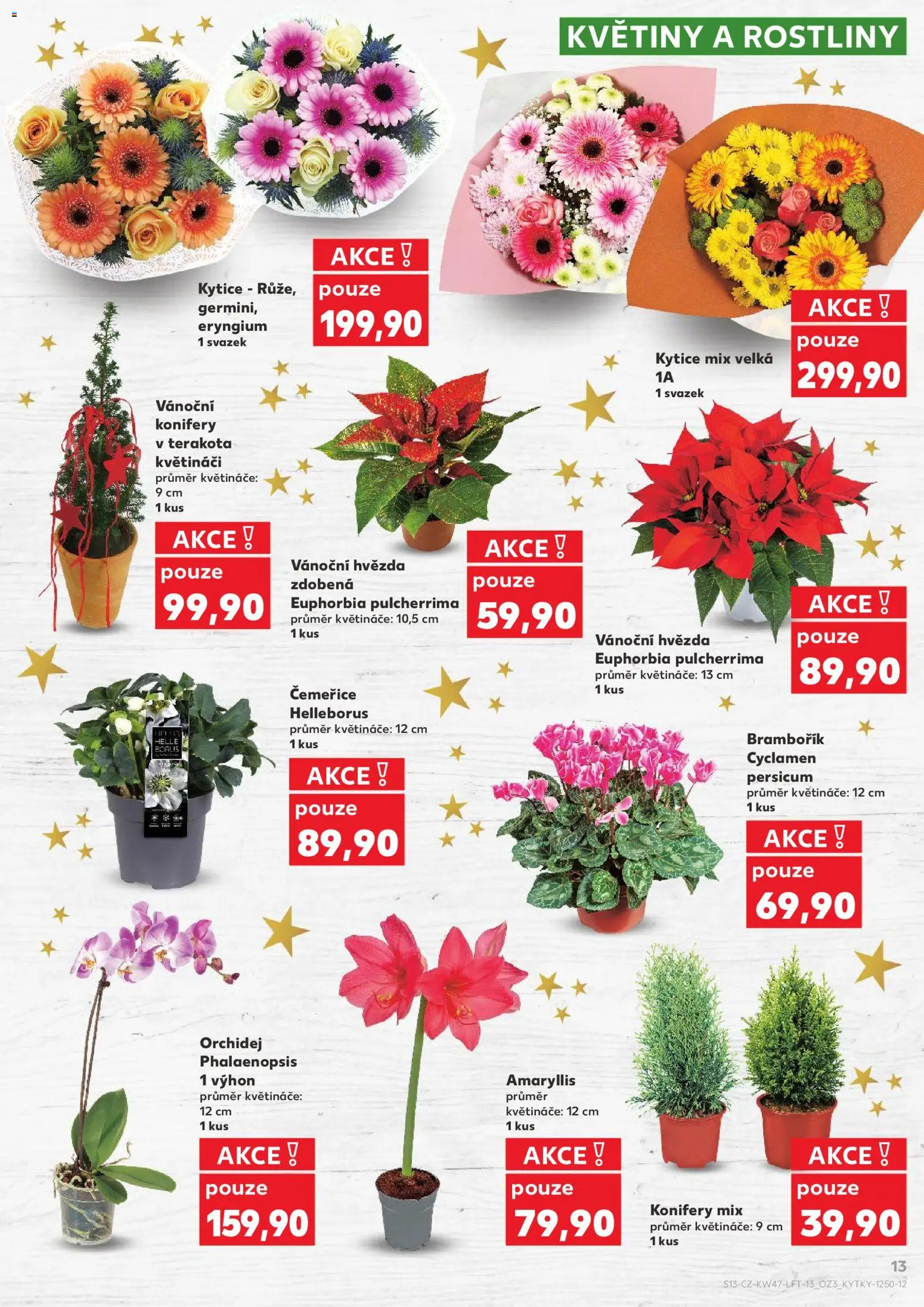 Kaufland leták - Kolín od 19.11.2025 | Strana: 13 | Produkty: Orchidej, Květináče, Kytice, Květiny