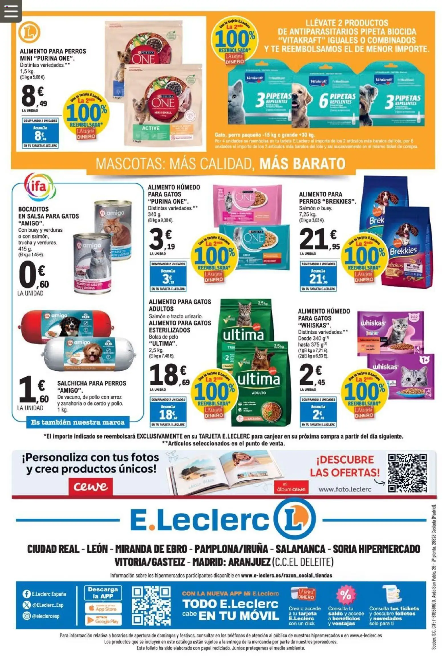 E.Leclerc folleto │ válido desde el 08.04.2026 | Página: 36 | Productos: Cerdo, Arroz, Zanahoria, Té