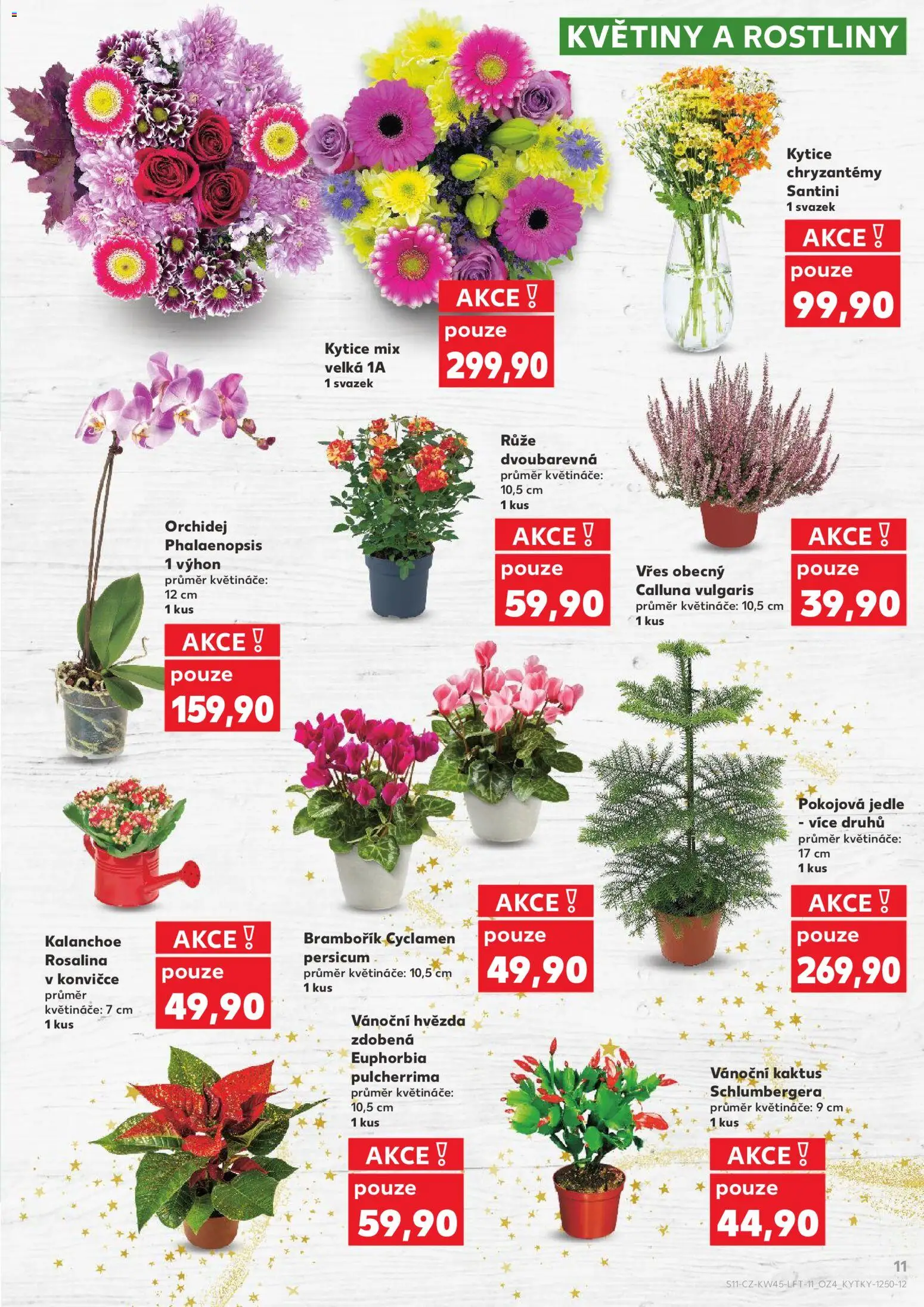 Kaufland leták od 05.11.2025 | Strana: 11 | Produkty: Kalanchoe, Vřes, Rostliny, Květiny