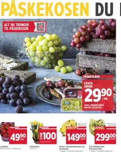 Forhåndsvisning av Meny kundeavis gyldig fra 23.03.2026 | Side: 10 | Produkter: Jordbær, Druer, Суміш дитяча