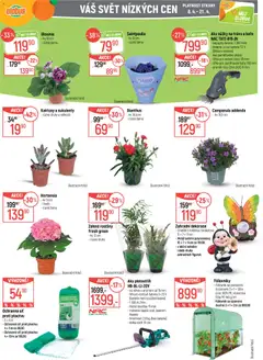 Náhled letáku Globus leták - České Budějovice od 08.04.2026 | Strana: 40