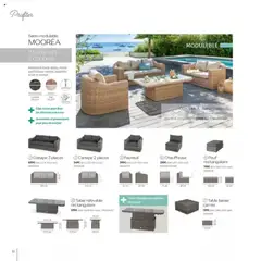  | Page: 22