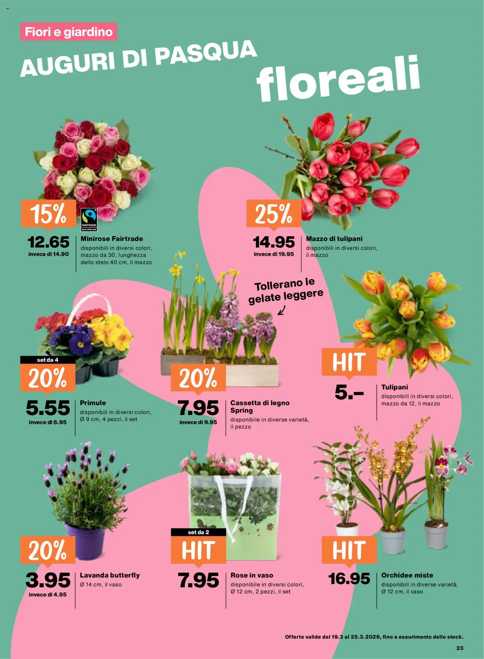 Migros aktionen IT – gültig ab 19.03.2026 | Seite: 23 | Produkte: Box