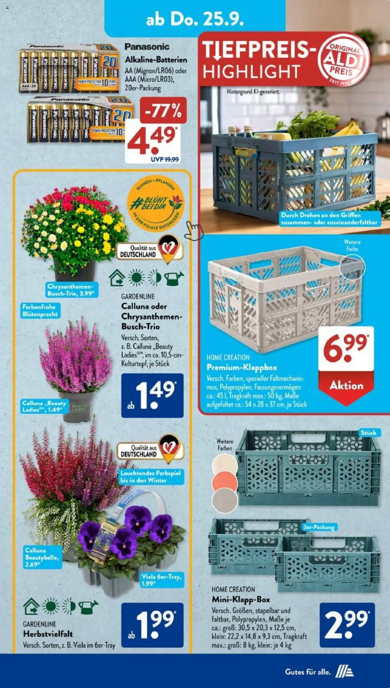 Aldi Süd Prospekt 	 – gültig ab 22.09.2025 | Seite: 11 | Produkte: Panasonic, Blumen, Home creation