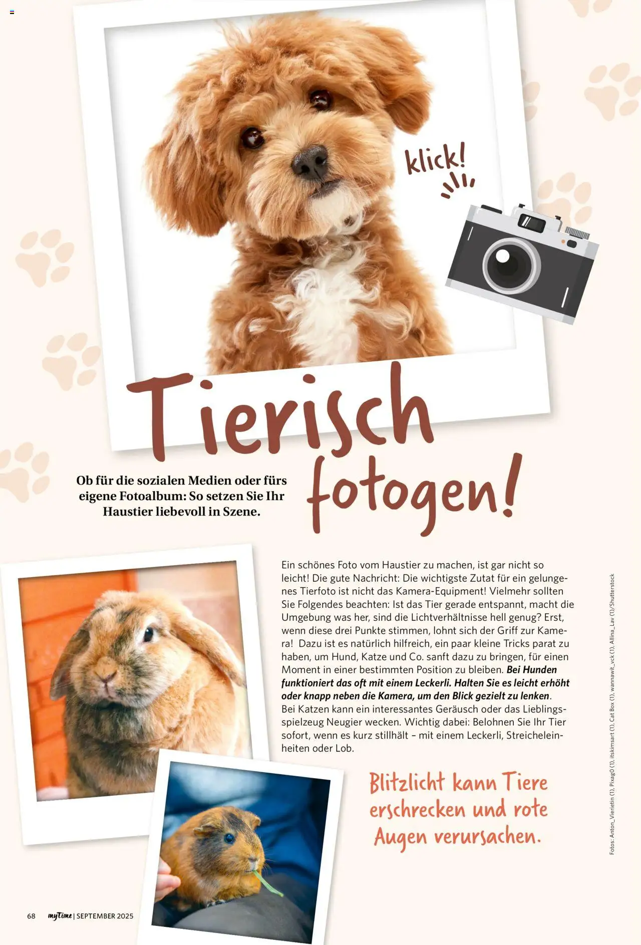 Famila Nordwest myTime September 2025 – gültig ab 01.09.2025 | Seite: 68 | Produkte: Box