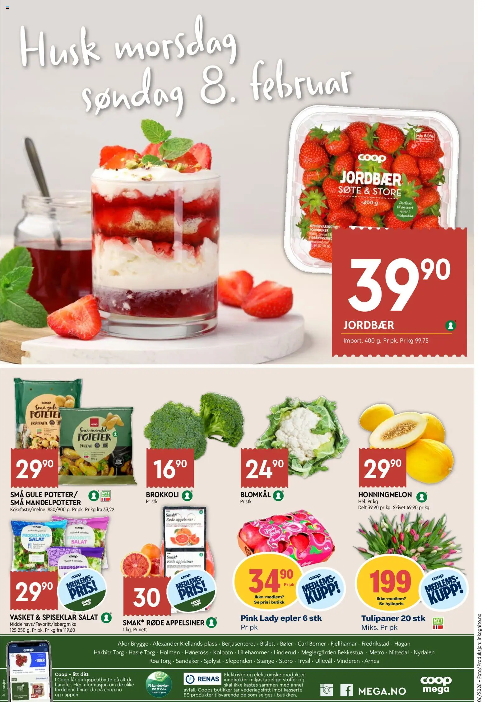 {H1} | Side: 8 | Produkter: Jordbær, Salat, Суміш дитяча, Honningmelon