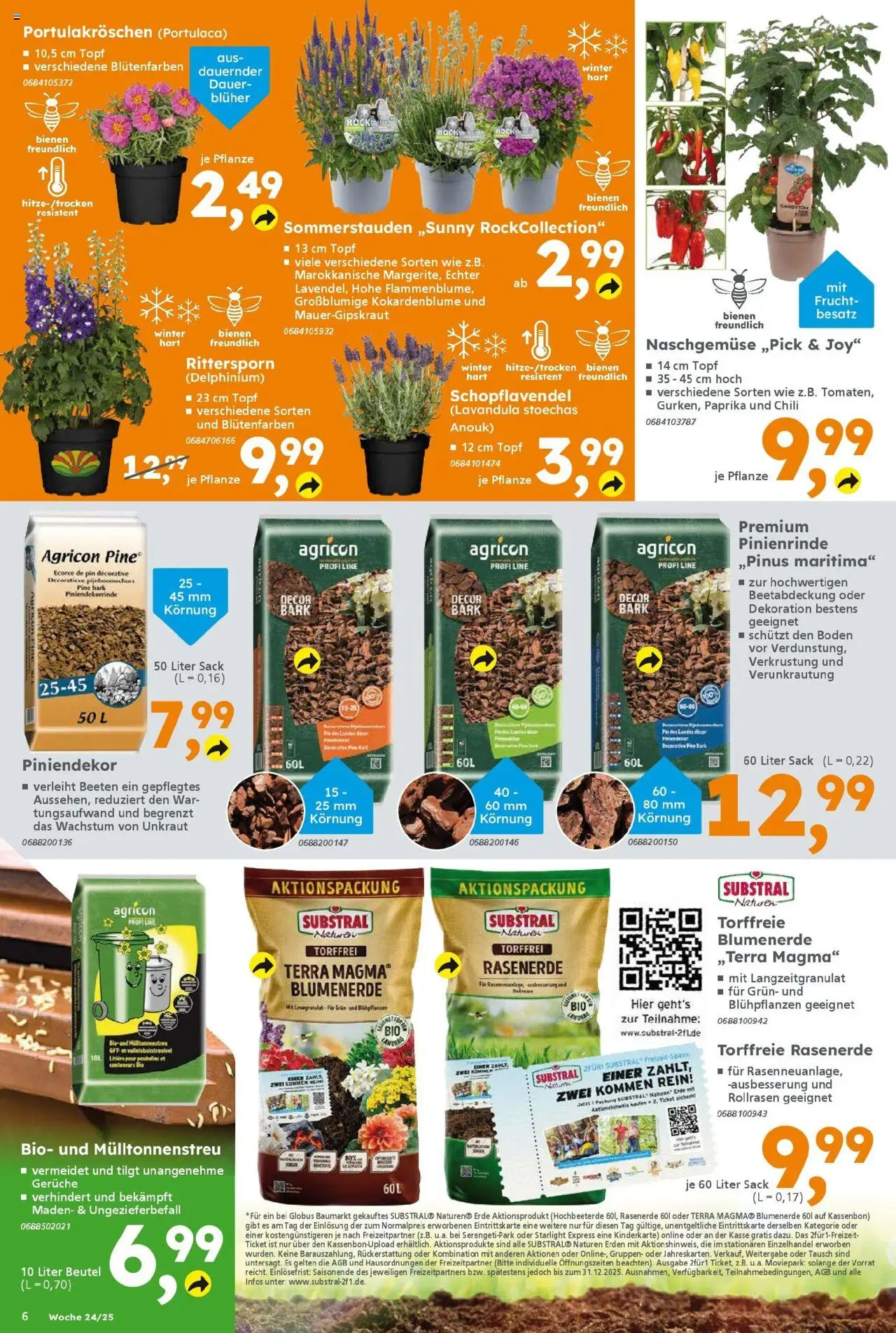 Globus Baumarkt prospekt Forchheim	 - gültig ab dem 10.06.2025 | Seite: 6 | Produkte: Blumenerde, Paprika, Chili