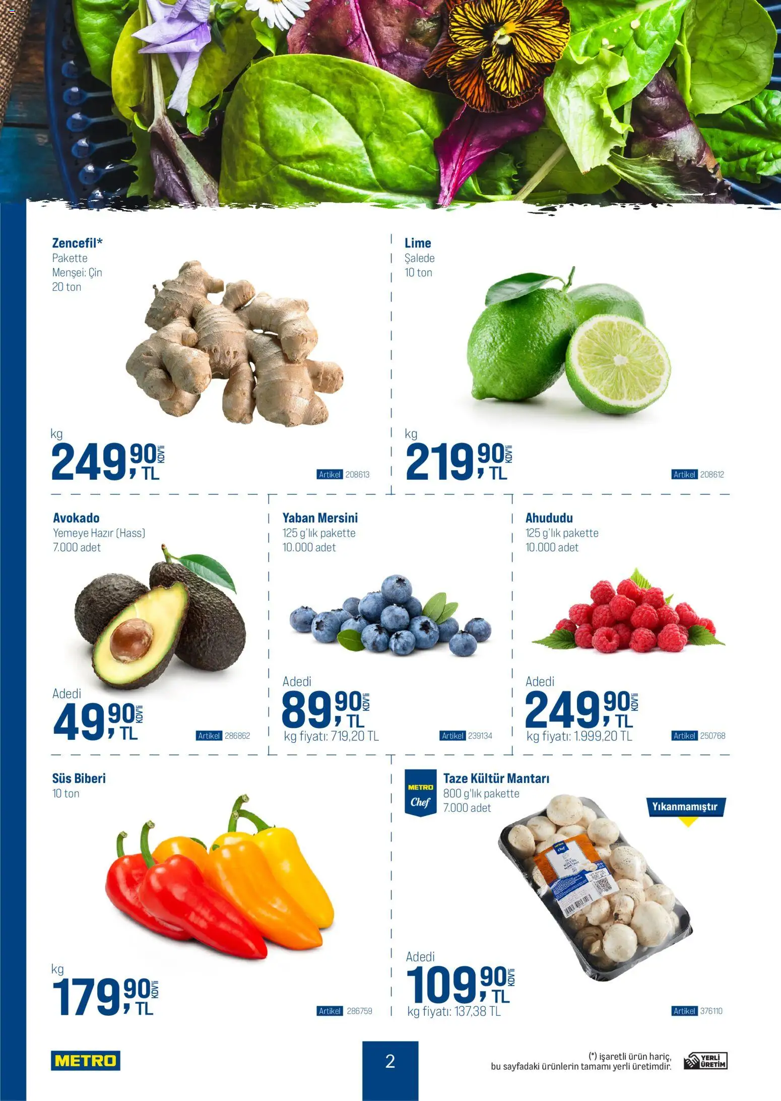 Metro - Dünya Mutfakları - 31.12.2025 tarihinden itibaren geçerlidir | Sayfa: 2