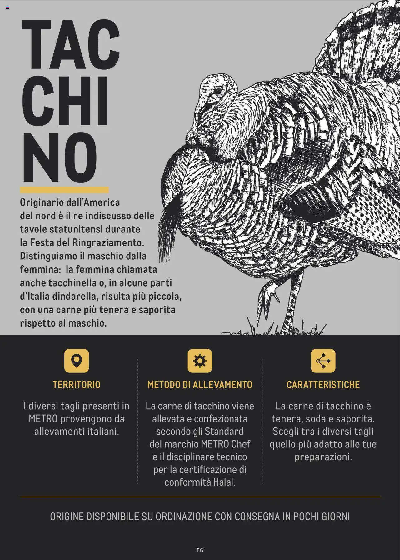 Volantino Metro del 02.07.2024 | Pagina: 56 | Prodotti: Tacchino, Metro