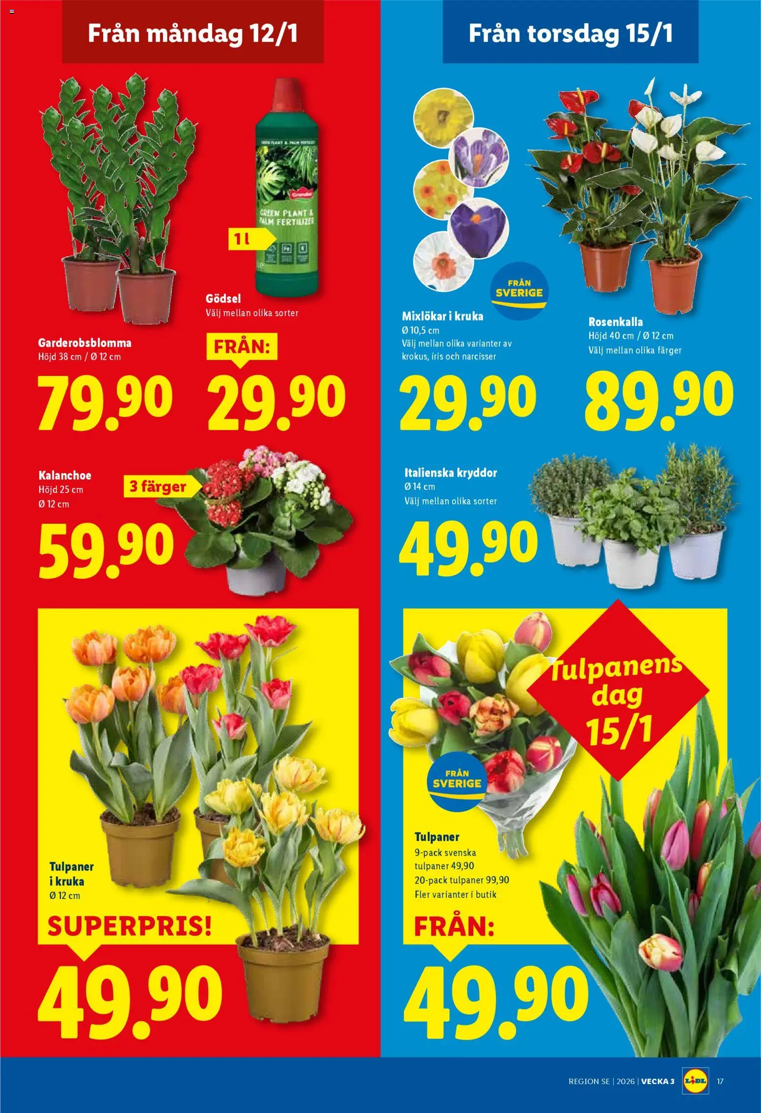 Lidl reklamblad aktuell från 12.01.2026 | Sida: 19 | Produkter: Kruka