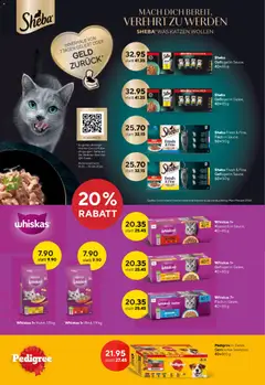 TopCC aktionen ab 13.04.2026 gültig | Seite: 16