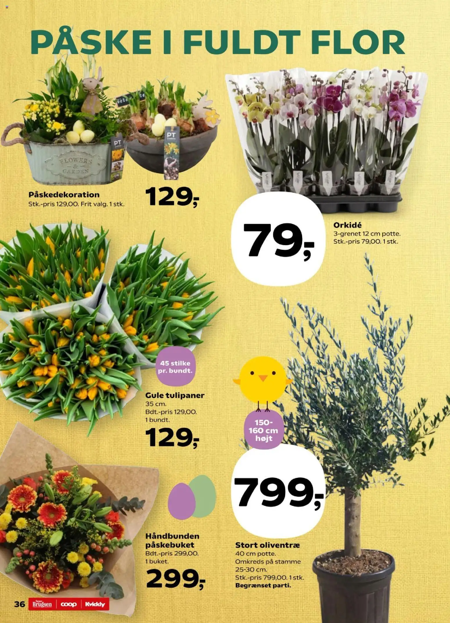 Kvickly tilbudsavis – gyldig fra 27.03.2026 | Side: 37