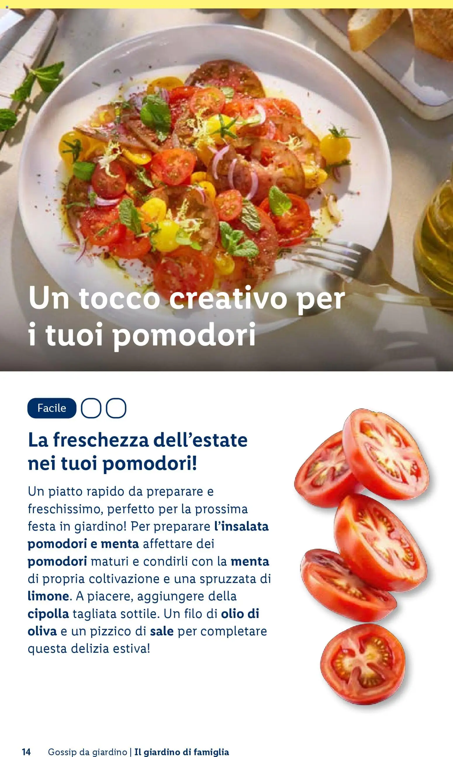 Volantino Lidl del 23.04.2026 | Pagina: 14 | Prodotti: Pomodori, Piatto, Menta, Olio di Oliva