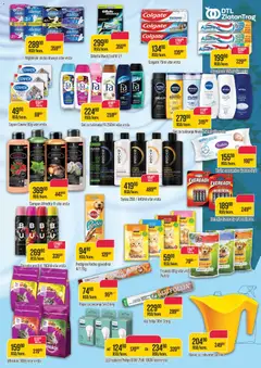 Zlatan Trag katalog - pregled Zlatan Trag kataloga - važi od 25.03.2026 | Strana: 11 | Proizvode: Govedina, Purina, Gillette, Šampon
