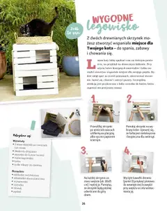 Maxi Zoo Gazetka - Magazyn od 01.05.2025 | Strona: 26 | Produkty: Pędzel, Szlifierka oscylacyjna, Szczotka, Szlifierka