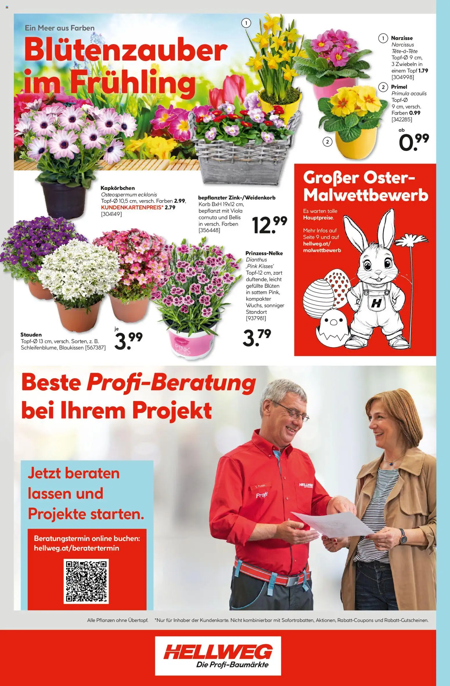 HELLWEG Flugblatt gültig ab 19.03.2026 | Seite: 18 | Produkte: Zwiebeln, Korb