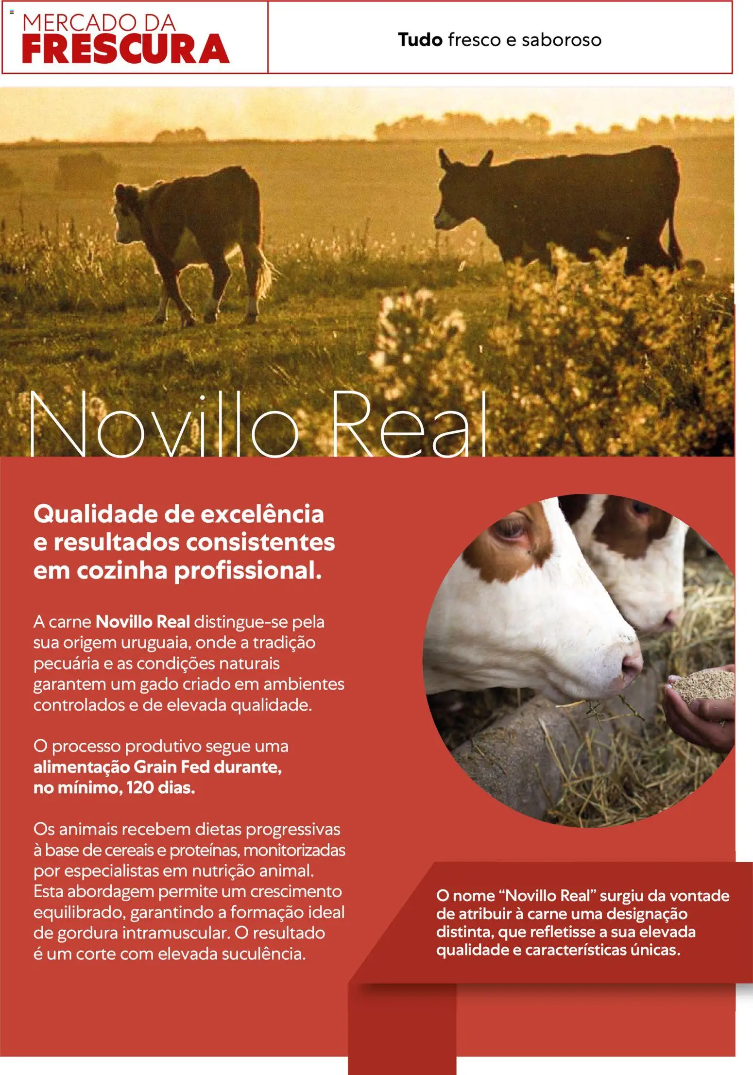 Recheio - Horeca Bons Negócios │ válido de 24.02.2026 | Página: 4 | Produtos: Base, Carne, Cereais