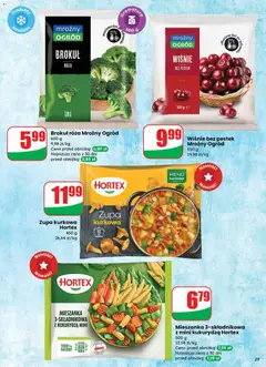 Pogląd oferty "Wiśnie bez pestek Mroźny Ogród, Wiśnie bez pestek, 500 g" - ważna od 22.10.2025 | Strona: 29