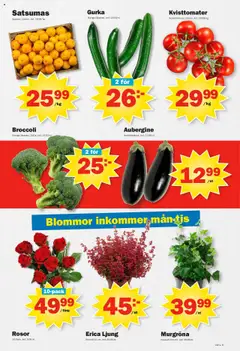Pekås - erbjudanden - Förhandsvisning av reklamblad från butik Pekås aktuell från 13.10.2025 | Sida: 9 | Produkter: Kruka, Aubergine, Broccoli, Gurka