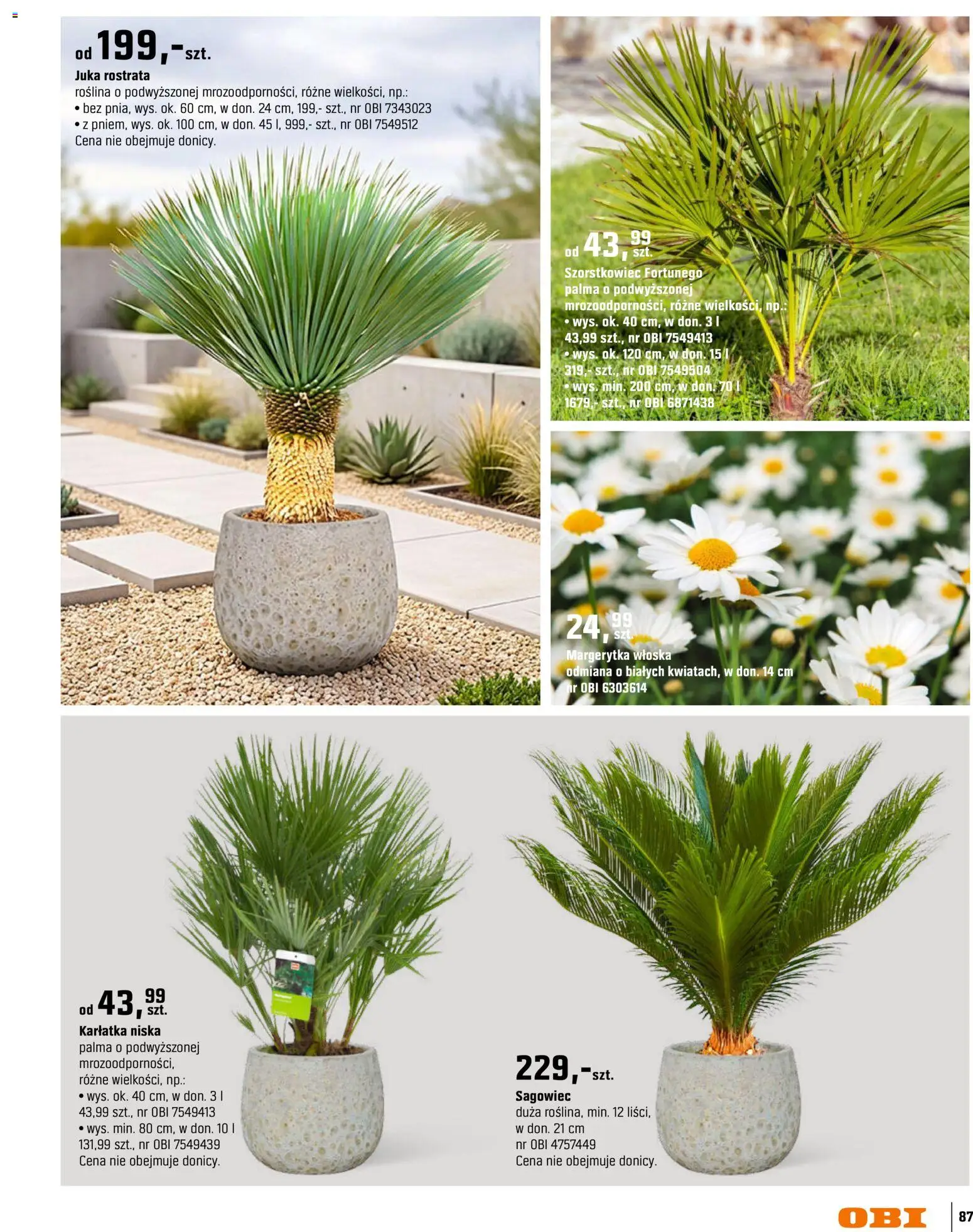 OBI gazetka - Ogród od 11.03.2026 | Strona: 87 | Produkty: Juka