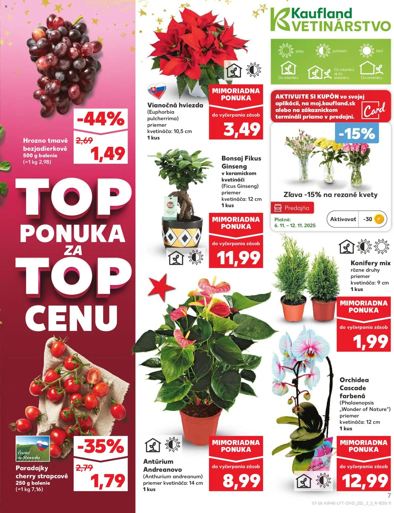 Nové Kaufland akcie – leták je platný od 06.11.2025 | Strana: 7 | Produkty: Paradajky, Kvety, Orchidea, Hrozno
