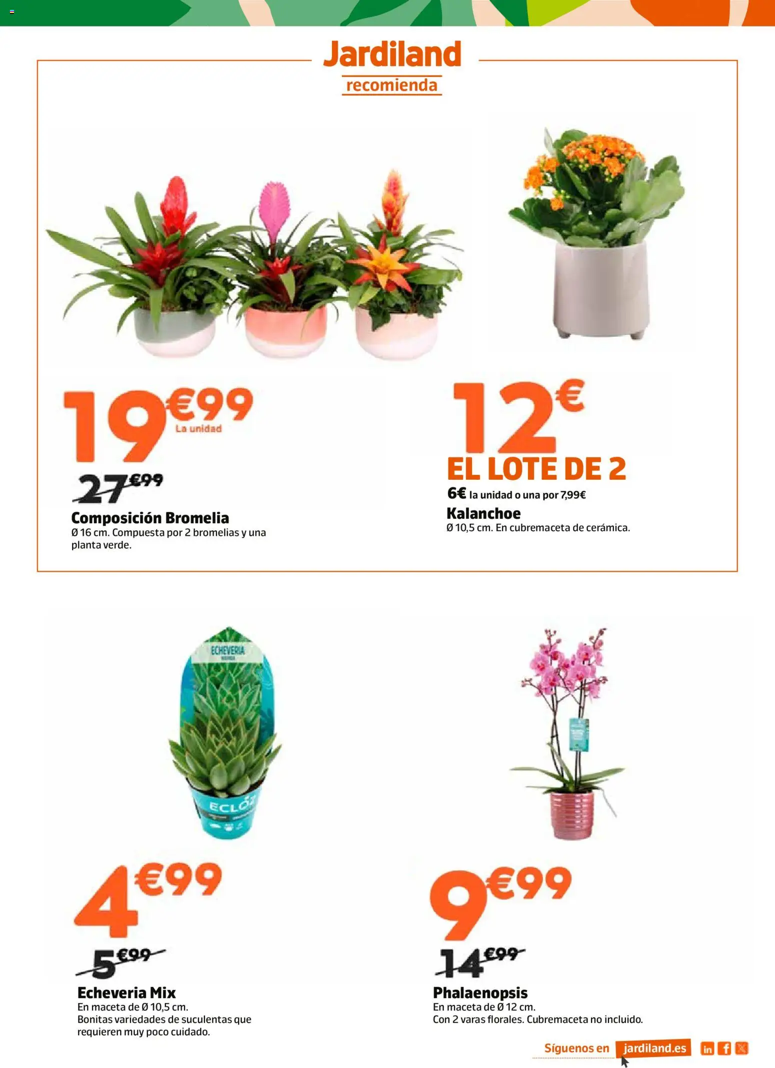 Jardiland folleto │ válido desde el 15.01.2026 | Página: 3 | Productos: Maceta