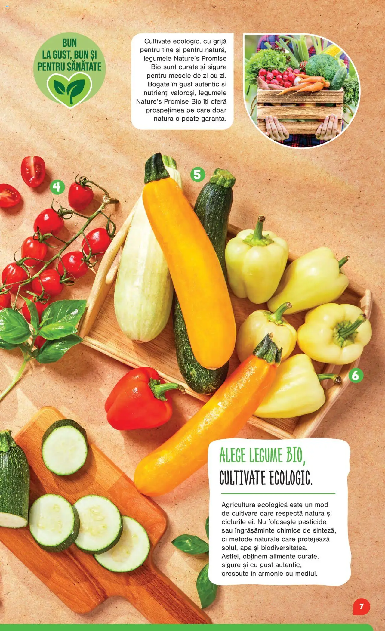 Noul catalog Mega Image – valabil de la 16.10.2025 | Pagină: 7 | Produse: Şerit ödül, Apă, Legume
