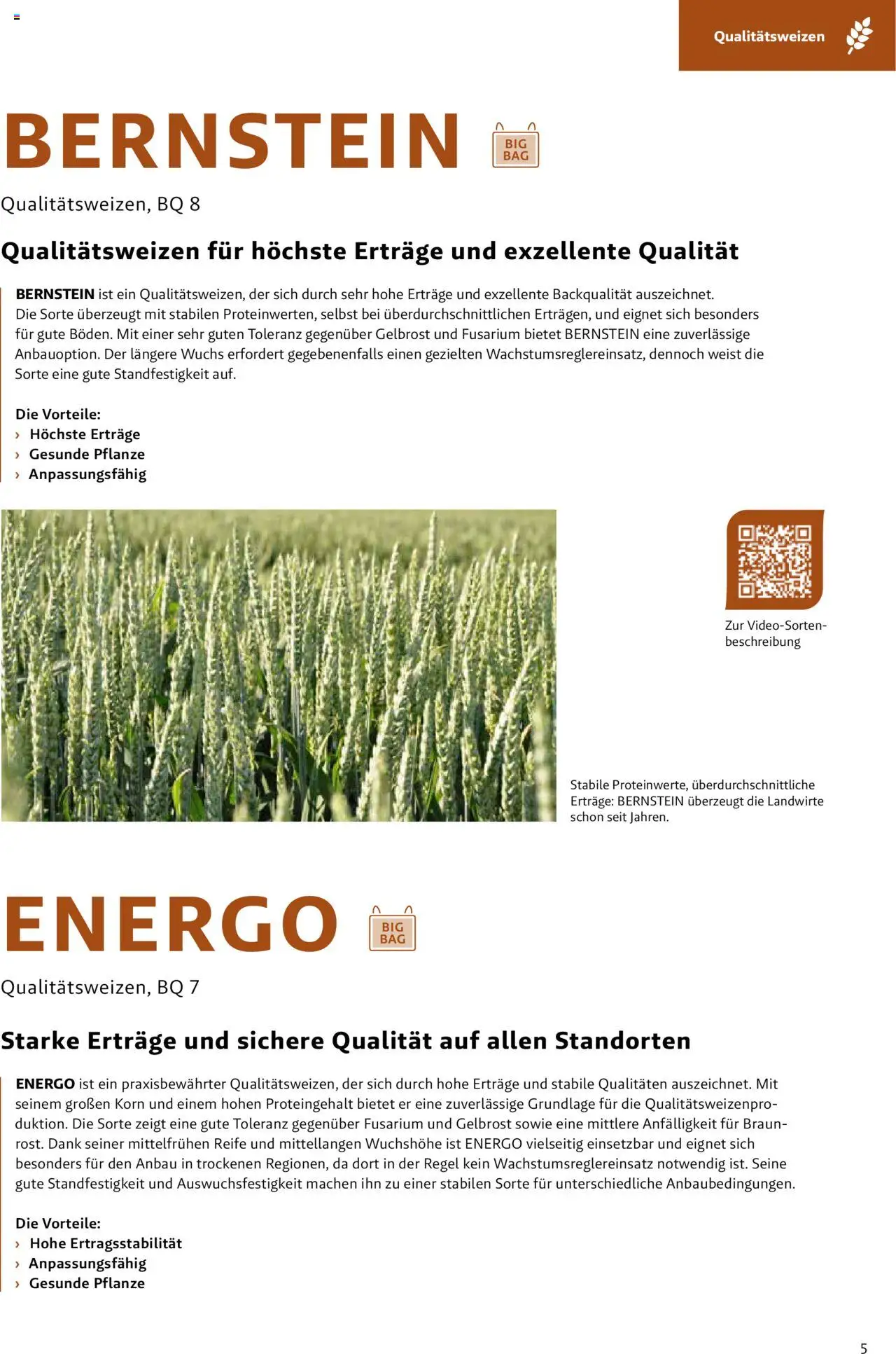 Lagerhaus Saatzeitung Herbst Trockengebiet gültig ab 01.09.2025 | Seite: 5