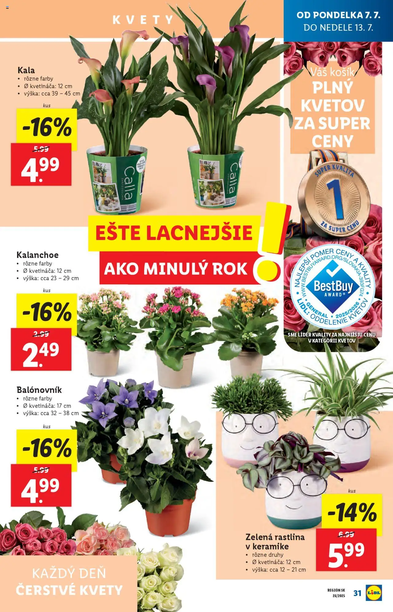 Lidl leták │ platný od 07.07.2025 | Strana: 33 | Produkty: Kvety