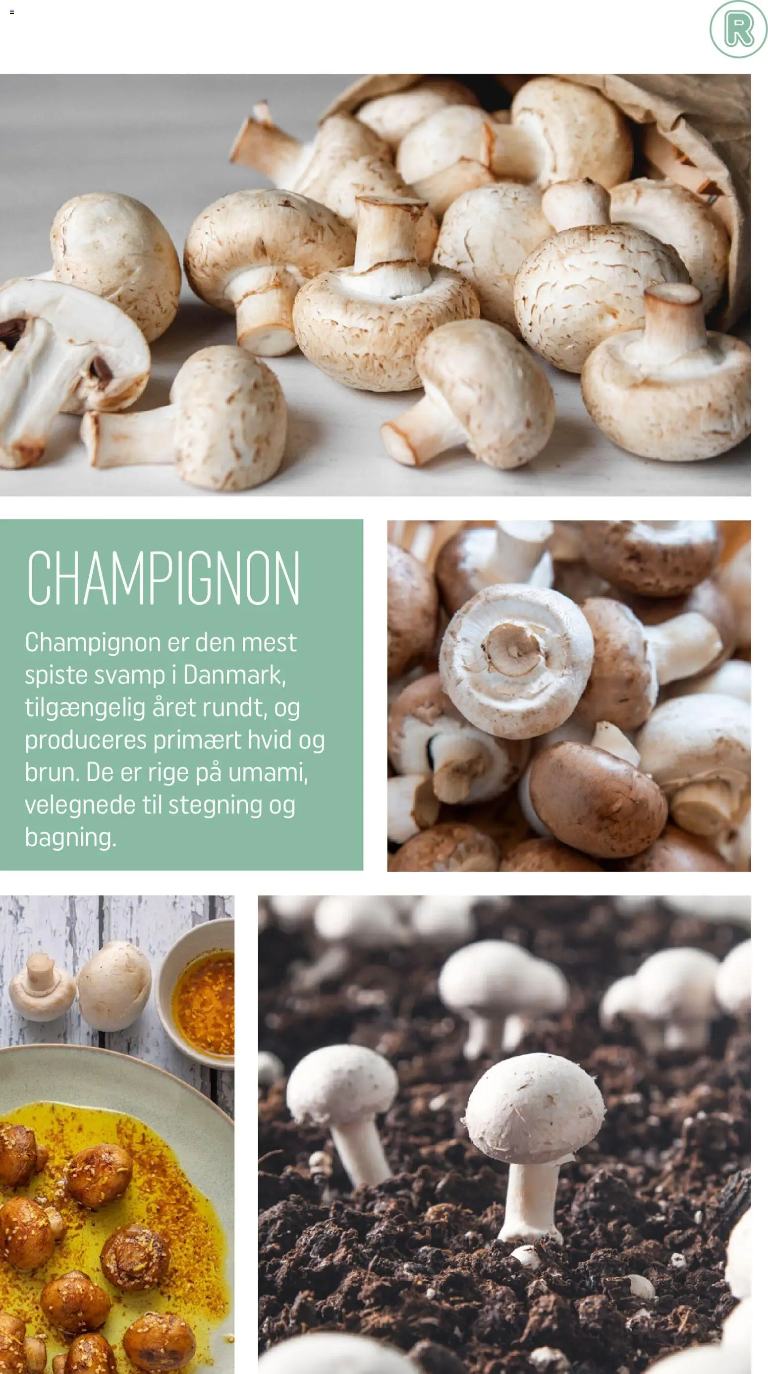 Rema 1000 tilbudsavis – gyldig fra 28.02.2026 | Side: 6 | Produkter: Champignon, Svamp