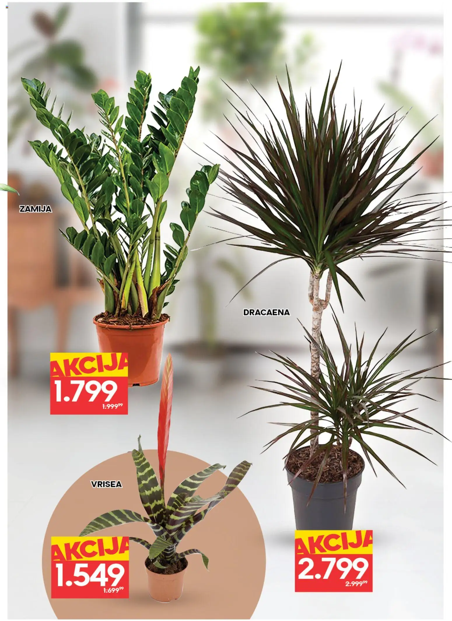 Idea katalog - važi od 05.03.2026 | Strana: 7