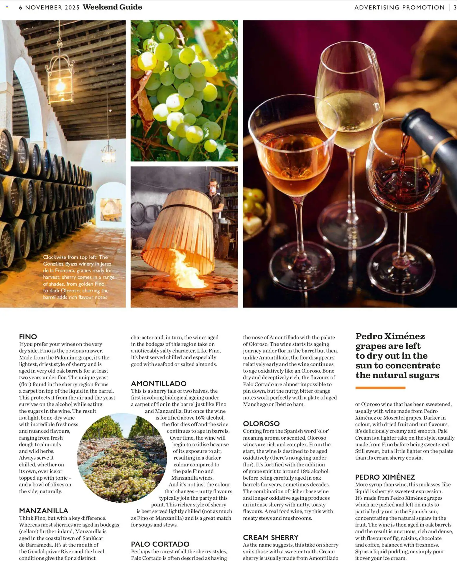 {H1} | Page: 43 | Products: Maillots et débardeurs Athlétisme, Chocolate, Wine, Bancs de Musculation