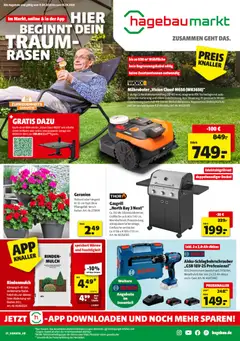 Hagebau Prospekt 	 ab 11.04.2026 gültig