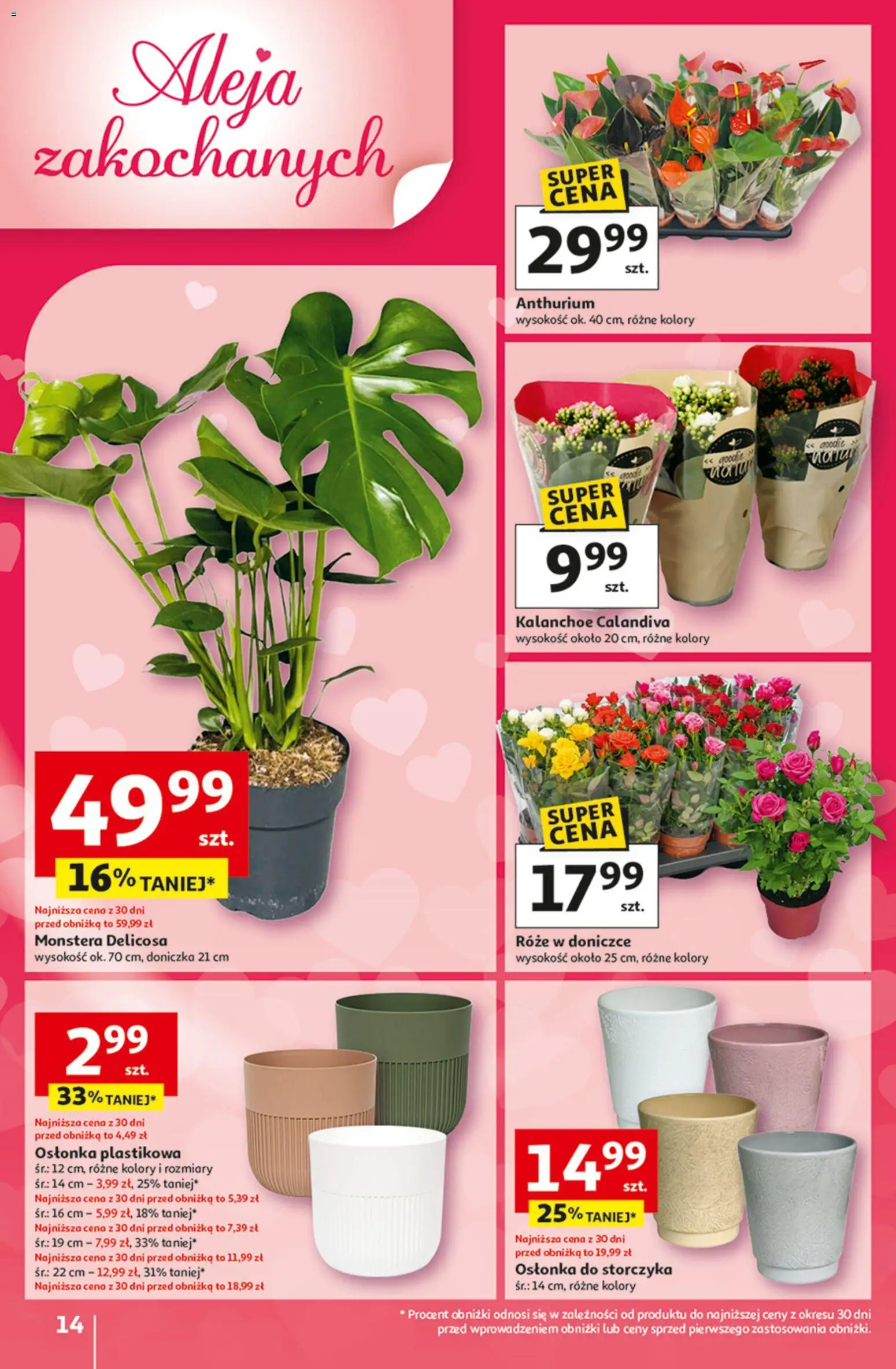 Auchan Gazetka - 30 Lat Hipermarket od 05.02.2026 | Strona: 14 | Produkty: Doniczka, Kalanchoe