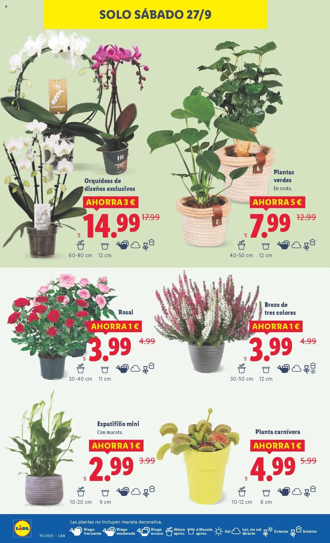Lidl - Canarias │ válido desde el 22.09.2025 | Página: 38 | Productos: Maceta