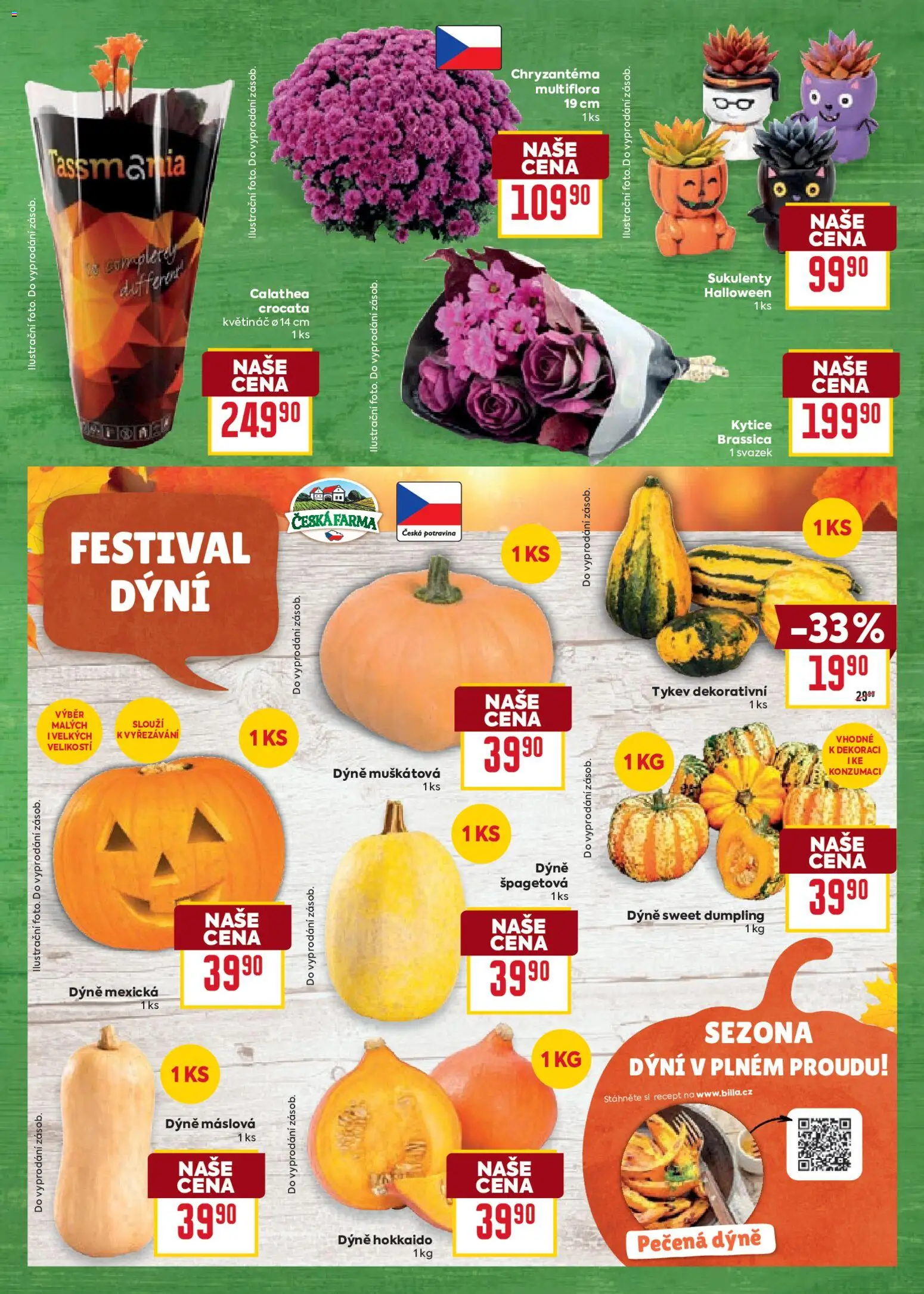 Billa Velký leták od 29.10.2025 | Strana: 3 | Produkty: Kytice, Dýně, Květináč