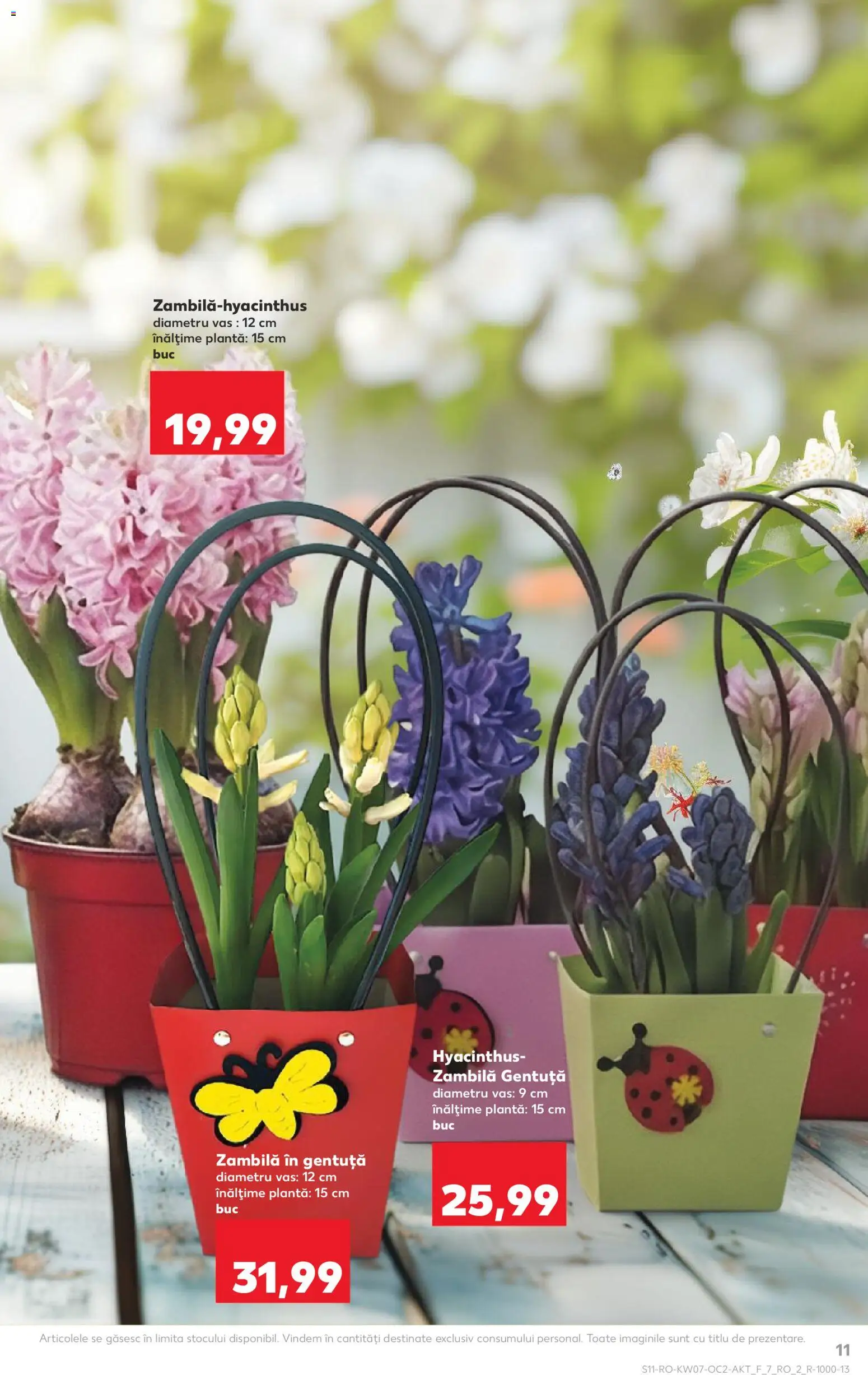 Noul catalog Kaufland – valabil de la 11.02.2026 | Pagină: 11