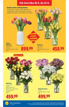 Lidl katalog - pregled Lidl kataloga - važi od 16.04.2026 | Strana: 64 | Proizvode: Vaza, Hrizantema, Cvece